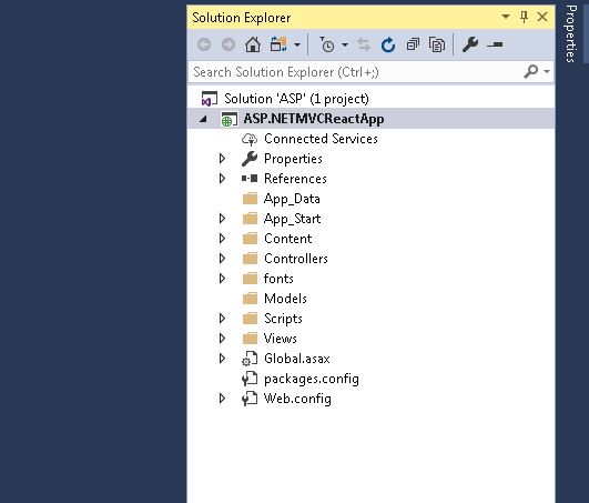 ASP.NET MVC initial project folder structure