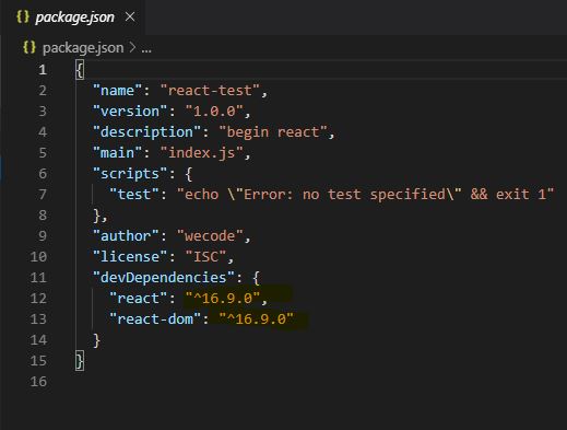reactjs package entries in the package.json file